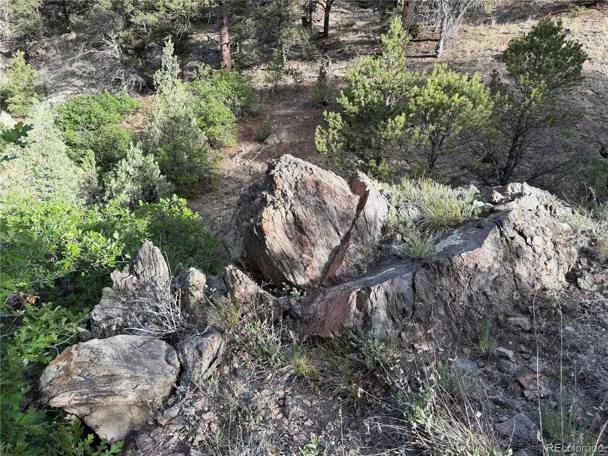 594 Maurice Drive, Cotopaxi, CO 81223 - #1