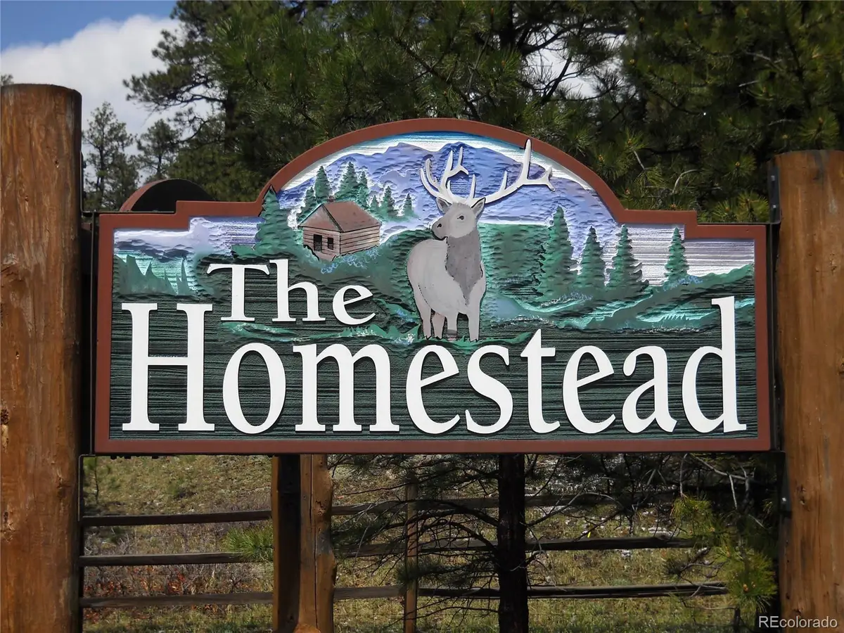 8216 Federation Drive, Morrison, CO 80465 - #1