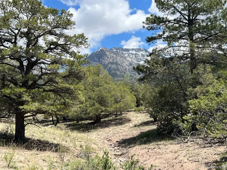 1153 Badger Road, Crestone, CO 81131 - #2