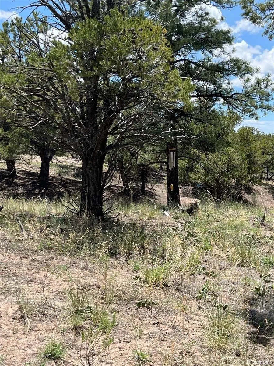 1153 Badger Road, Crestone, CO 81131 - #3