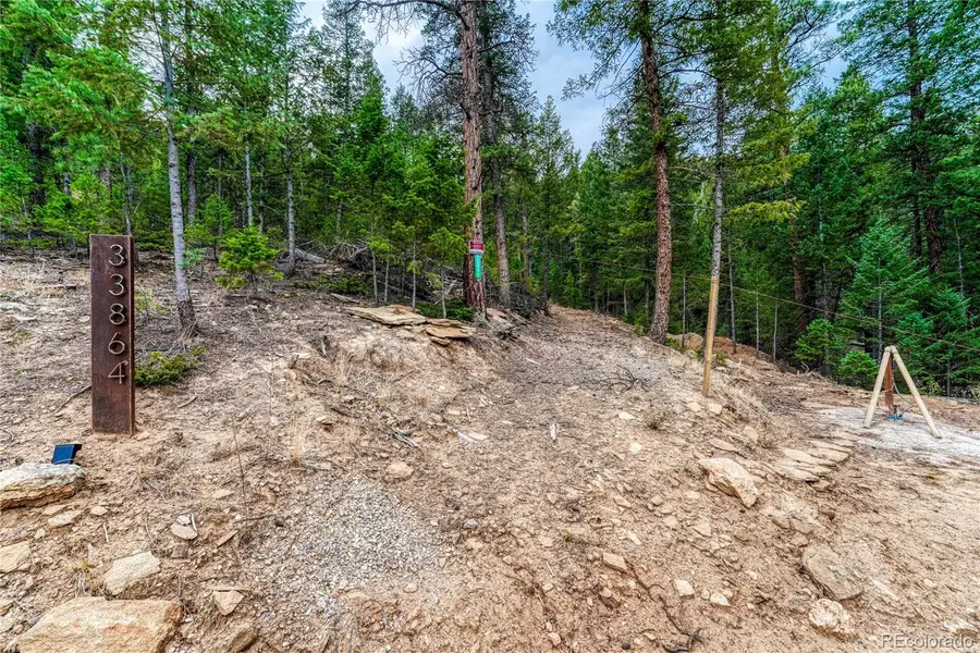 33864 Bergen View Trail, Evergreen, CO 80439 - Image #3