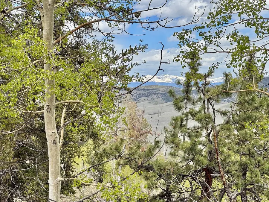 5544 Middle Fork Vista, Fairplay, CO 80420 - #2