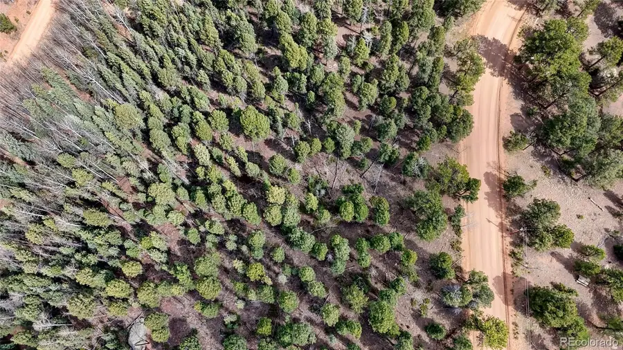 2151 N Mountain Estates Road, Florissant, CO 80816 - #2