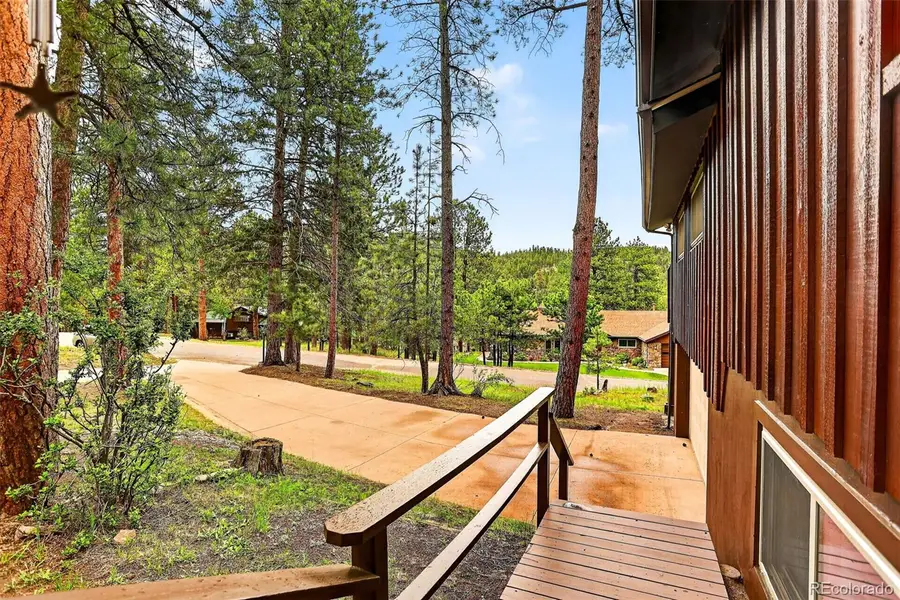 28110 Pine Drive, Evergreen, CO 80439 - #3