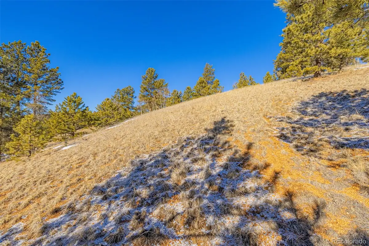 772 E Bison Creek Trail, Florissant, CO 80816 - #1