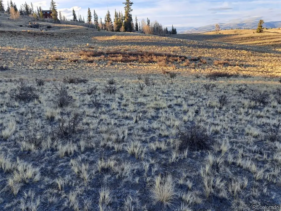 513 War Lane, Como, CO 80432 - #3