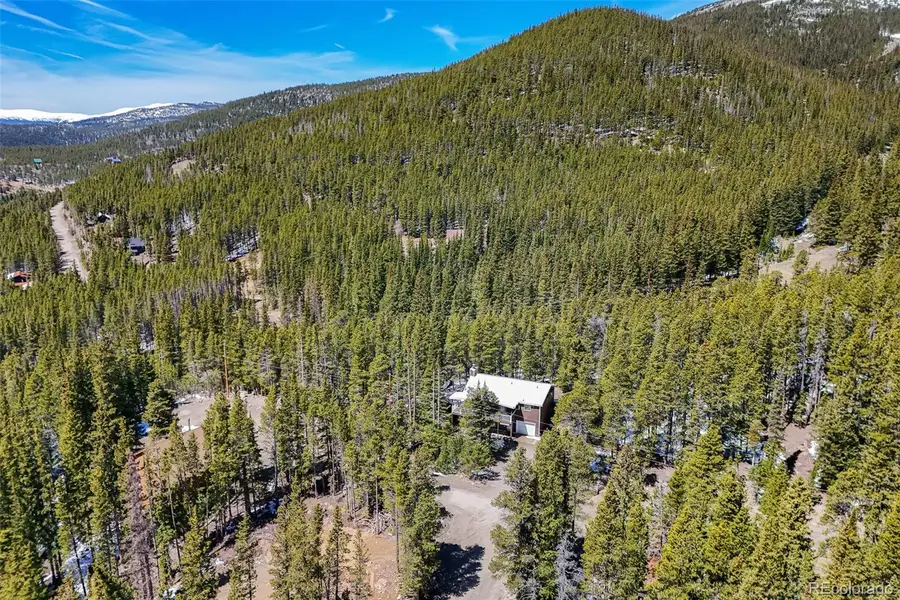 218 Brook Drive, Idaho Springs, CO 80452 - #3