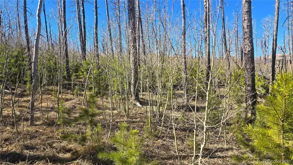 Lot 1470 Von Heyl Lane, Fort Garland, CO 81133