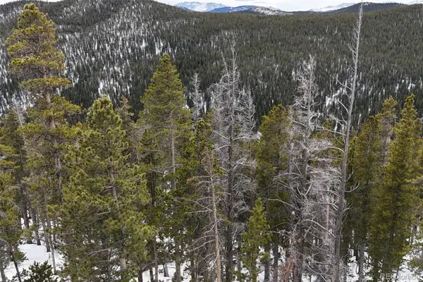 156 Vista Road, Idaho Springs, CO 80452