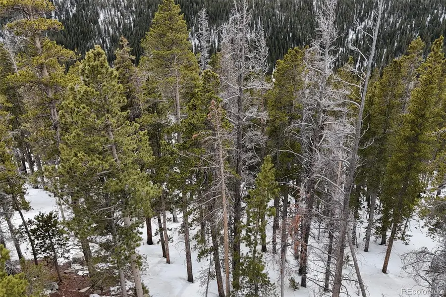 156 Vista Road, Idaho Springs, CO 80452 - #2