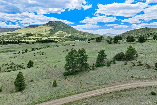 Tract 3 County Road 102, Guffey, CO 80820