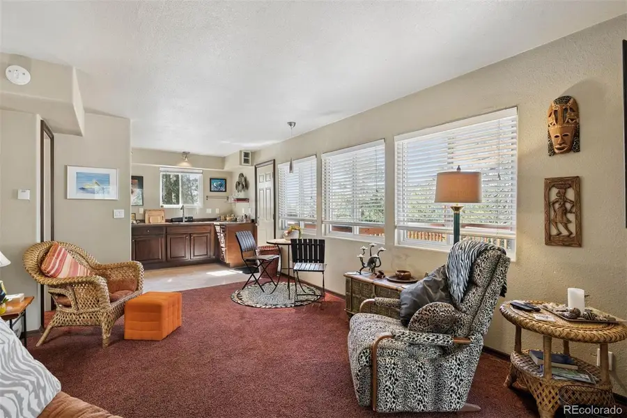221 Juniper Lane, Bailey, CO 80421 - #3