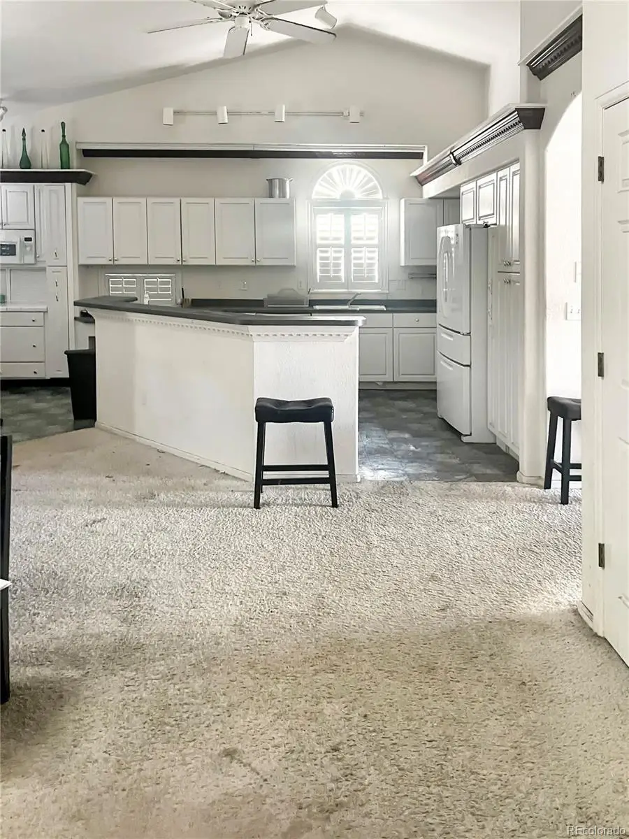 2322 Beacham Drive, Castle Rock, CO 80104 - #3