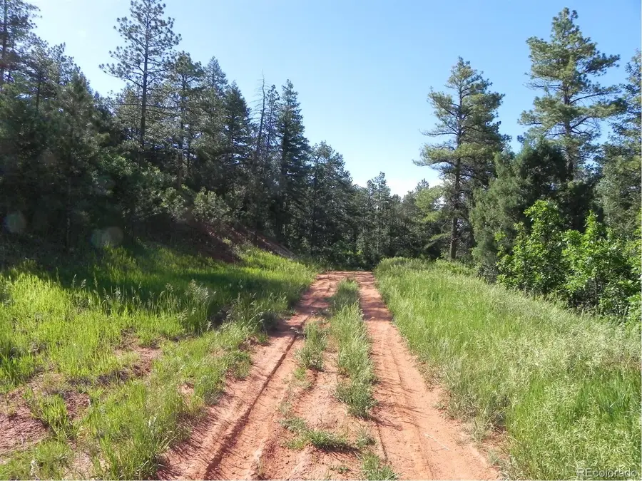 8117 Acoma Drive, Larkspur, CO 80118 - #3