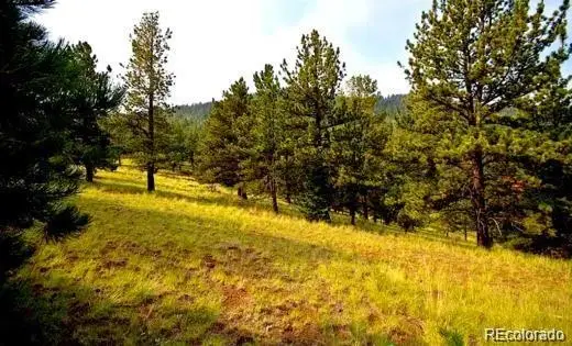 111 Isabel Claim, Cripple Creek, CO 80813 - Image #1