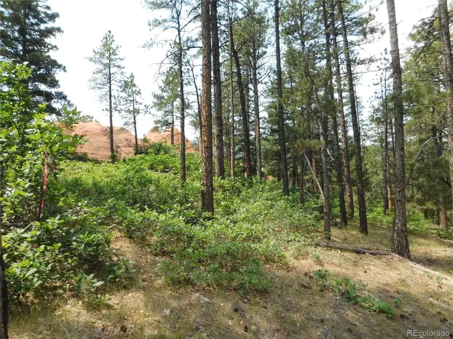 8356 Quivas Road, Larkspur, CO 80118 - #2