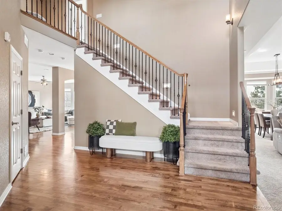 204 Crosshaven Place, Castle Rock, CO 80104 - #3