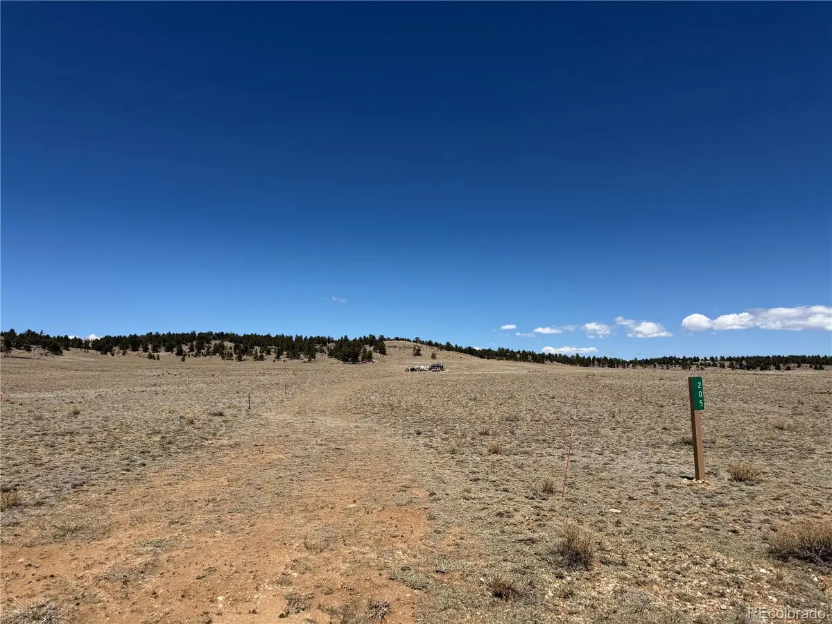 205 Cheyenne Trail, Hartsel, CO 80449 - #1