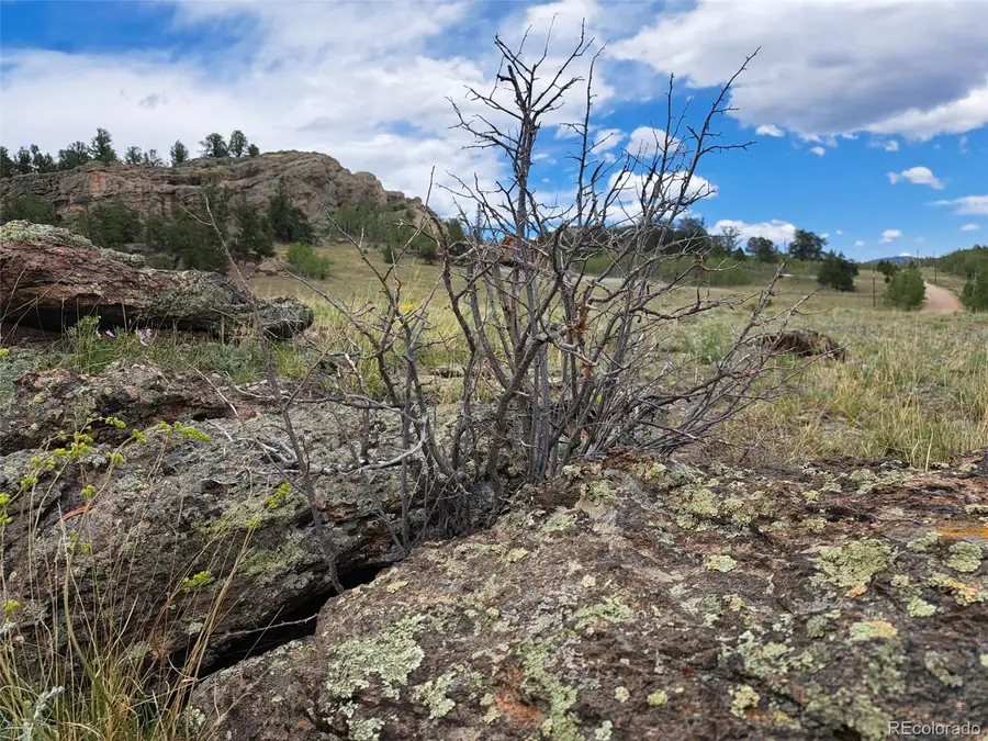 149 Mustang Road, Jefferson, CO 80456 - #2