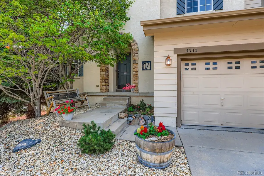 4535 Addenbrooke Loop, Castle Rock, CO 80109 - Image #3