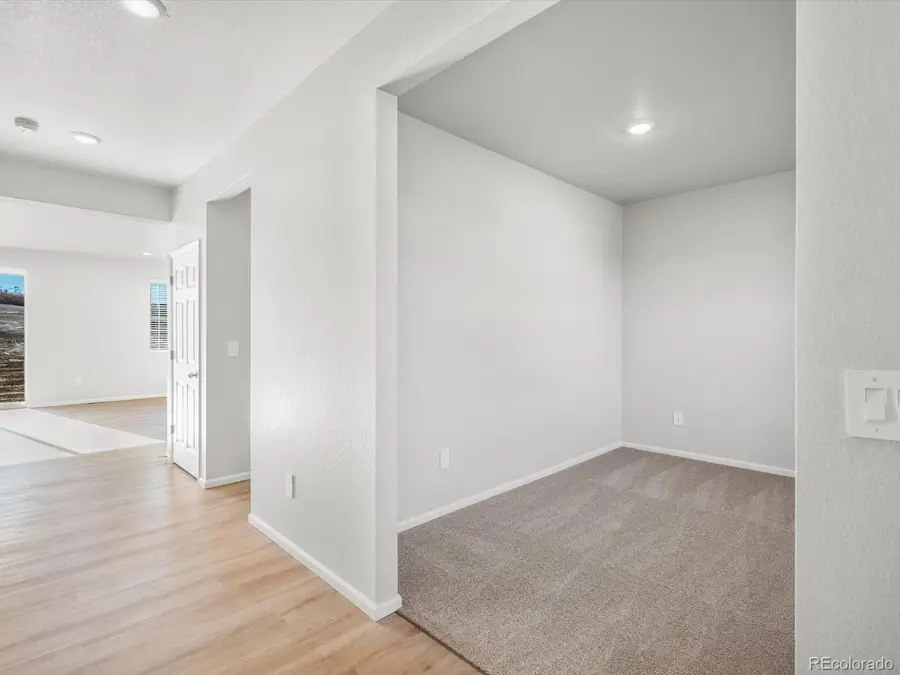 1636 Yampa River Drive, Windsor, CO 80550 - Image #3