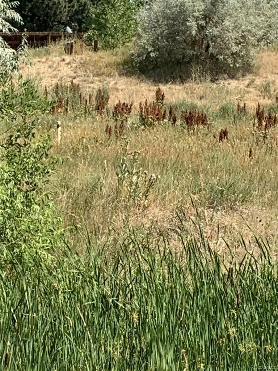 8348 S Carr Way, Littleton, CO 80128 - Image #1