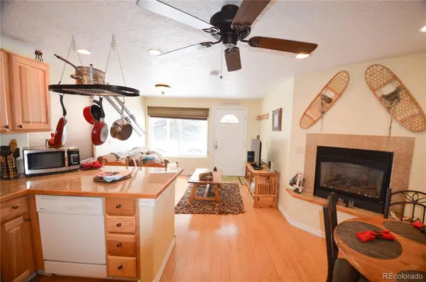 414 Tenderfoot Street #9, Dillon, CO 80435