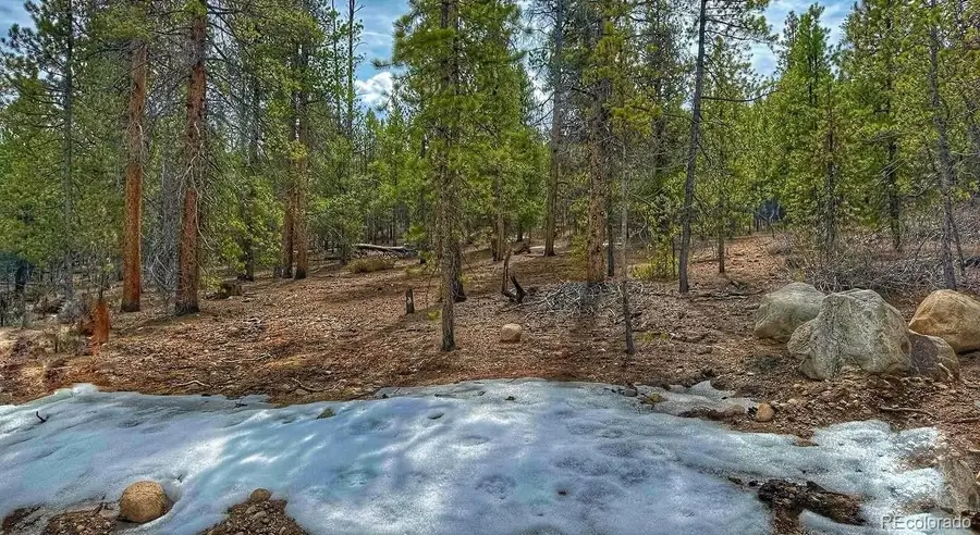 48 Mount Massive Road, Twin Lakes, CO 81251 - #3