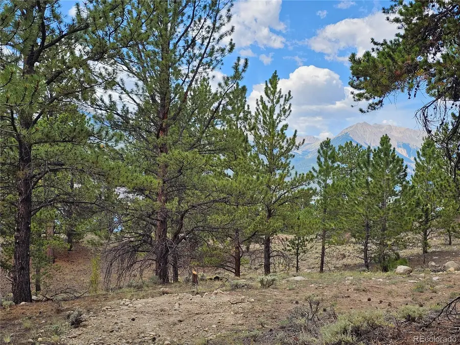 142 La Plata Peak Drive, Twin Lakes, CO 81251 - #2