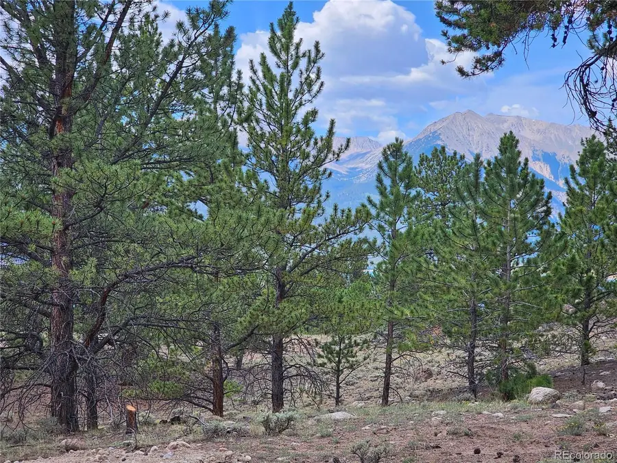 142 La Plata Peak Drive, Twin Lakes, CO 81251 - #3