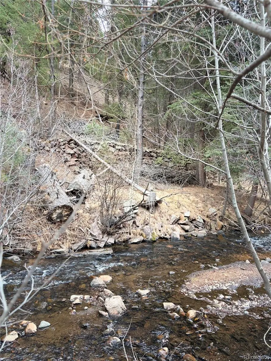 00000 S Elk Creek Road, Pine, CO 80470 - Image #1