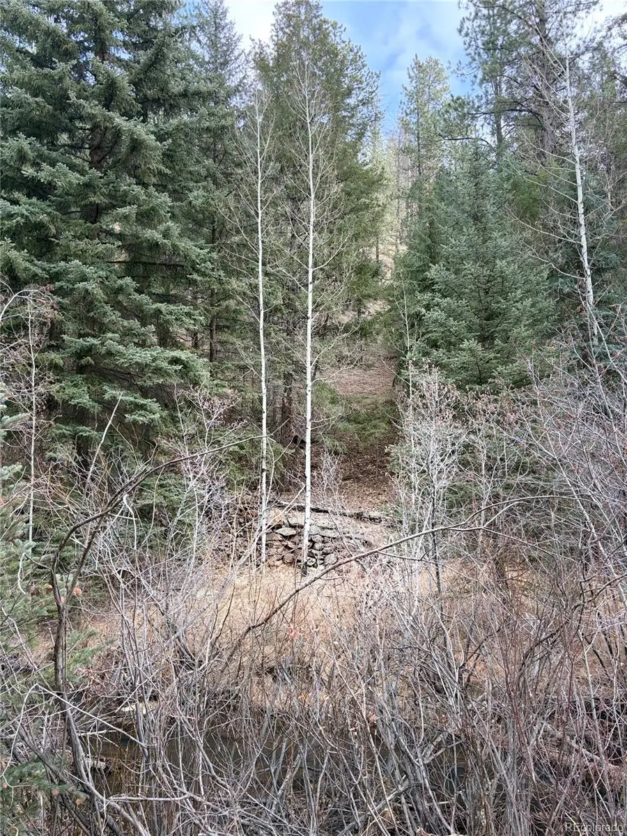 00000 S Elk Creek Road, Pine, CO 80470 - Image #2