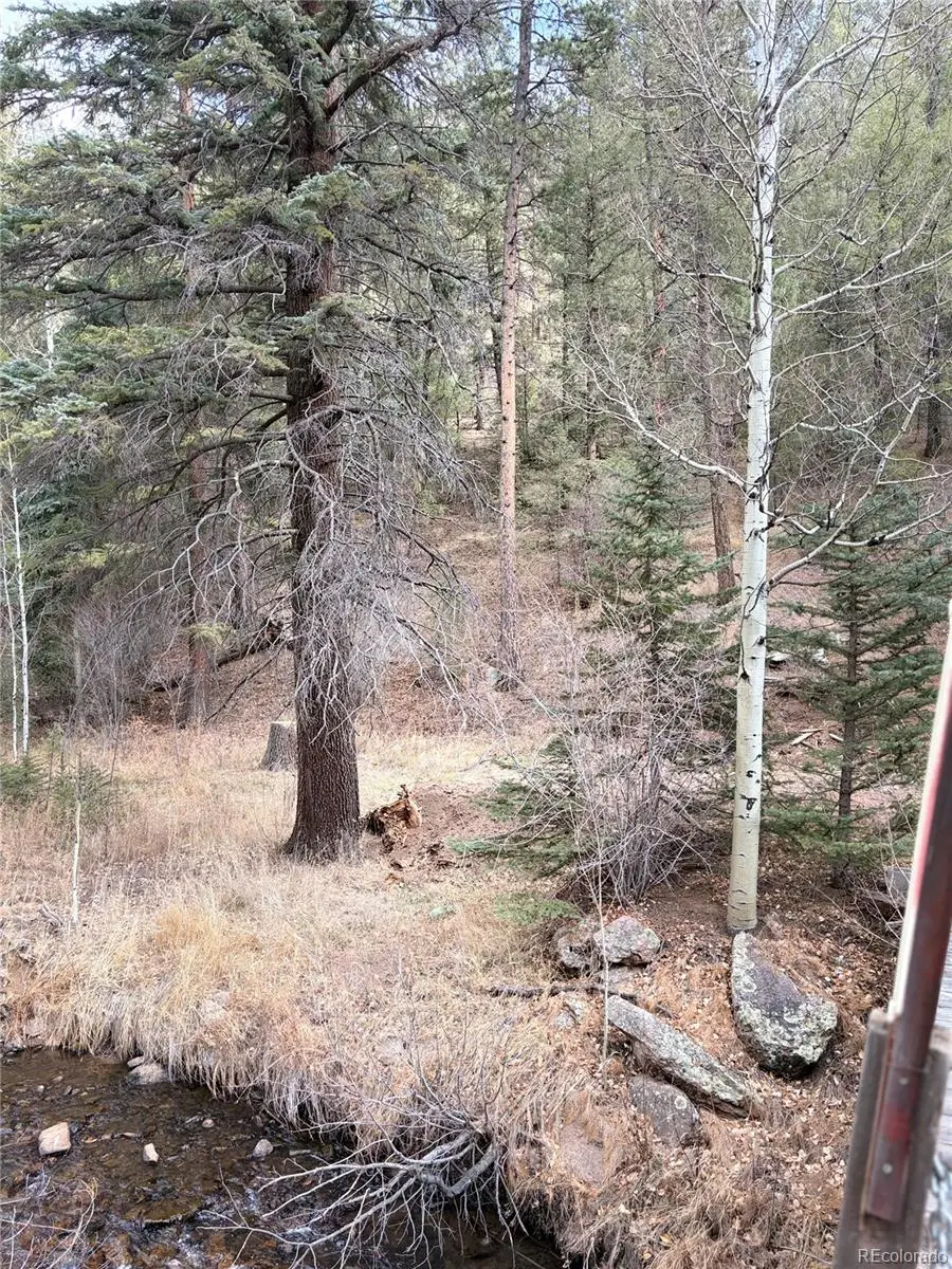 00000 S Elk Creek Road, Pine, CO 80470 - Image #3