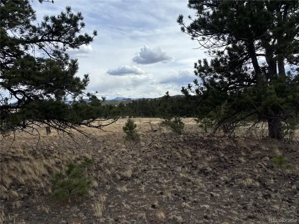 Hiawatha Circle, Hartsel, CO 80449