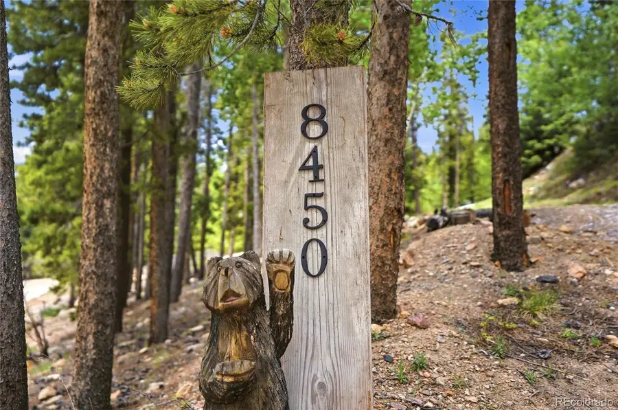 8450 London Lane, Conifer, CO 80433 - #2
