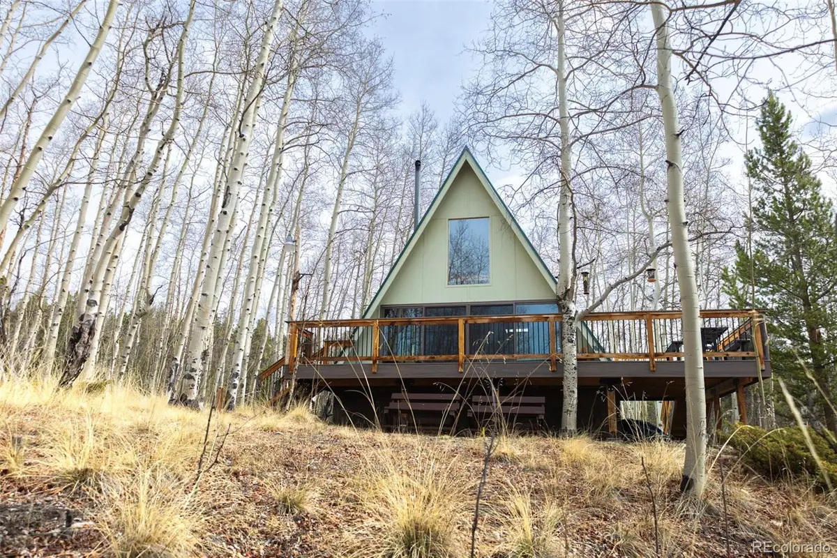 206 Empire Circle, Leadville, CO 80461 - #1