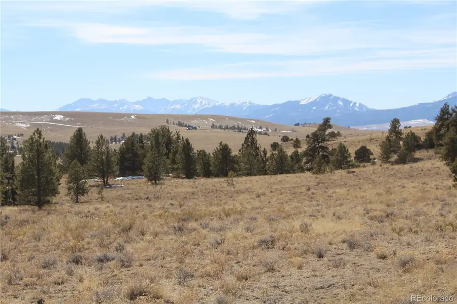 1615 Schulze Ranch Road, Westcliffe, CO 81252 - #2