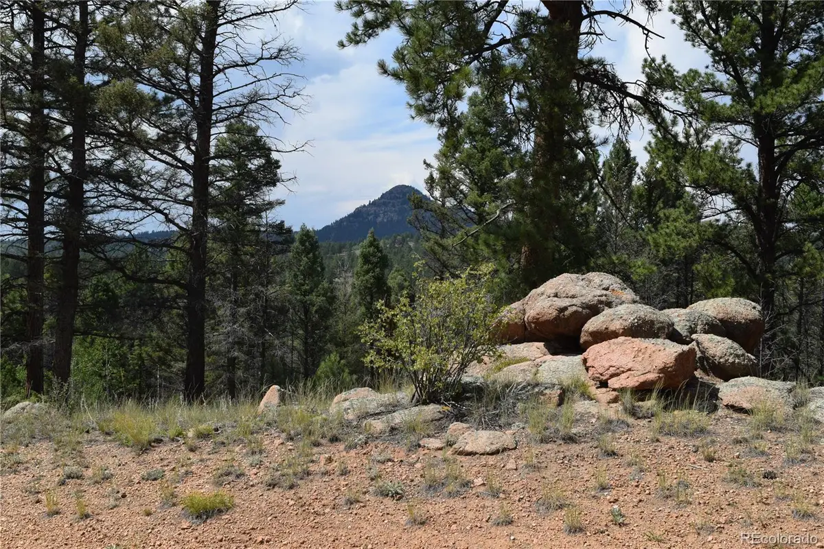 93 Kiowa Creek Trail, Florissant, CO 80816 - Image #1