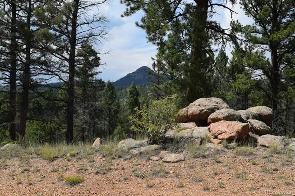 93 Kiowa Creek Trail, Florissant, CO 80816