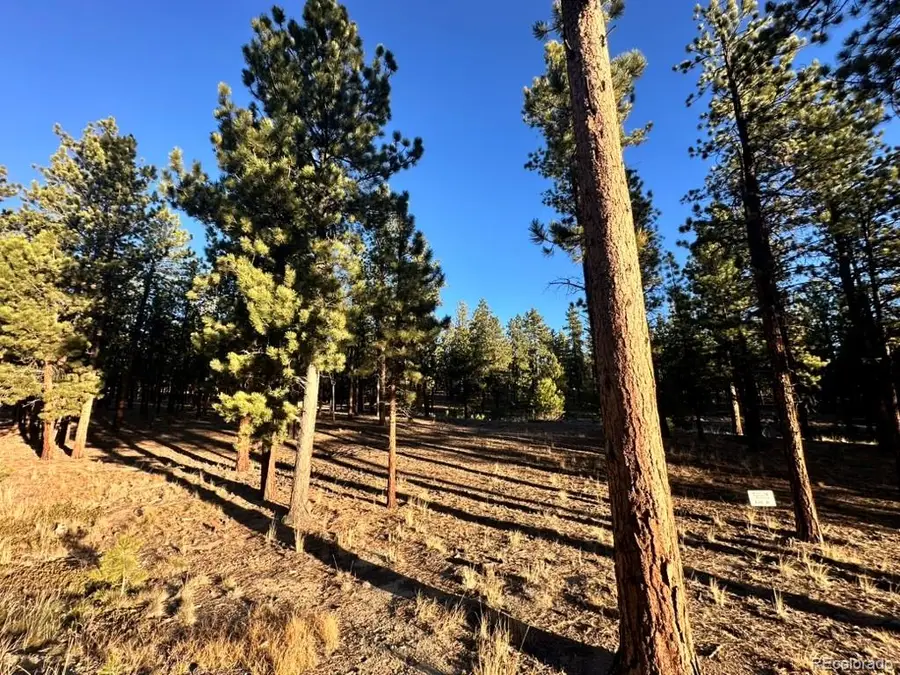 16703 Pine Grove Parkway, Buena Vista, CO 81211 - Image #2