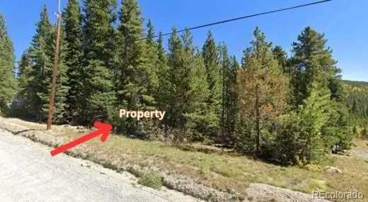 Lot 47 Silver Creek Road, Idaho Springs, CO 80452