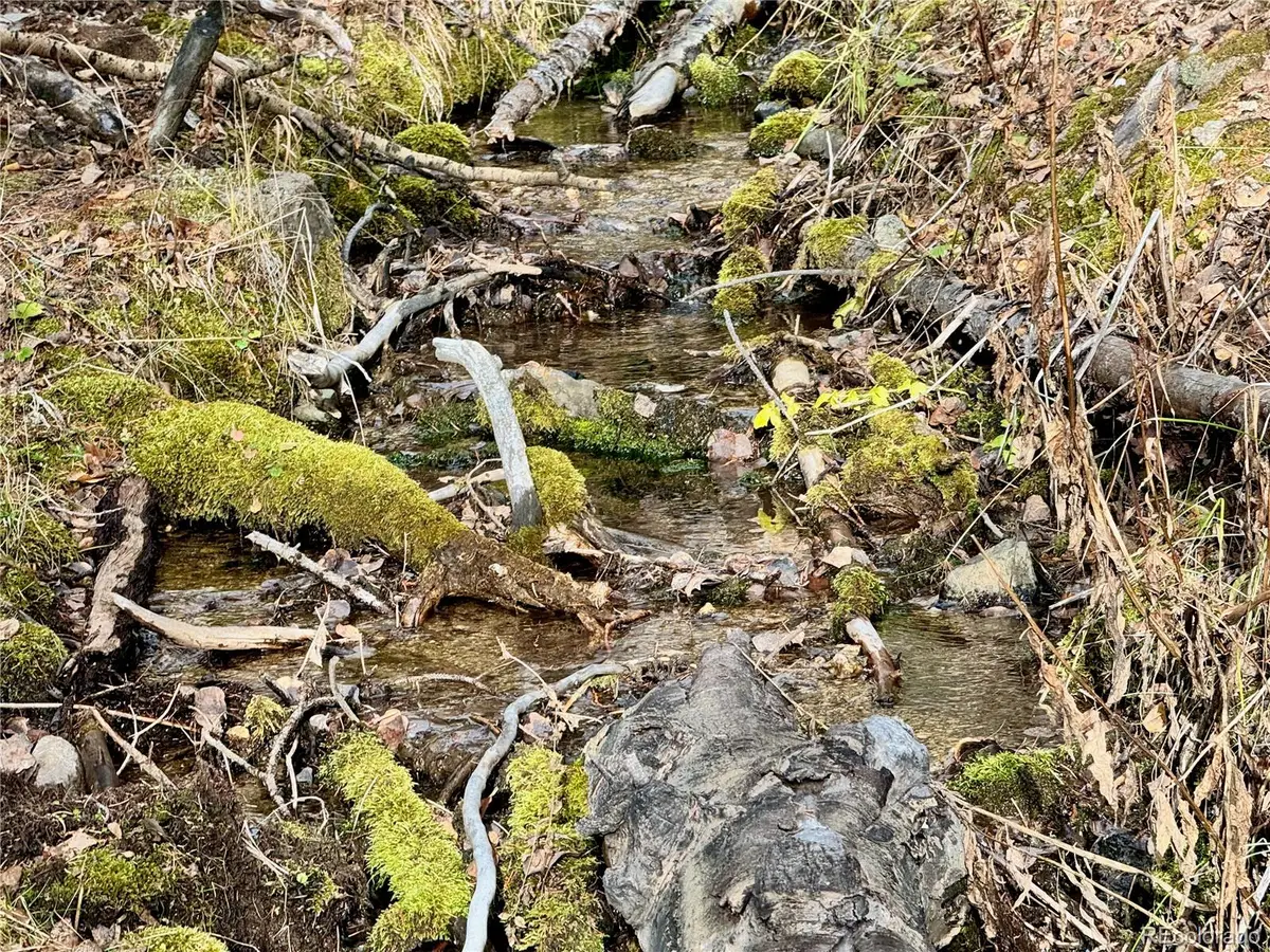 Ryland Road, San Luis, CO 81152 - Image #1