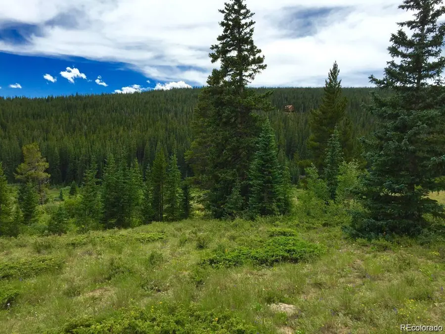 1180 Zebulon Street, Alma, CO 80420 - #3