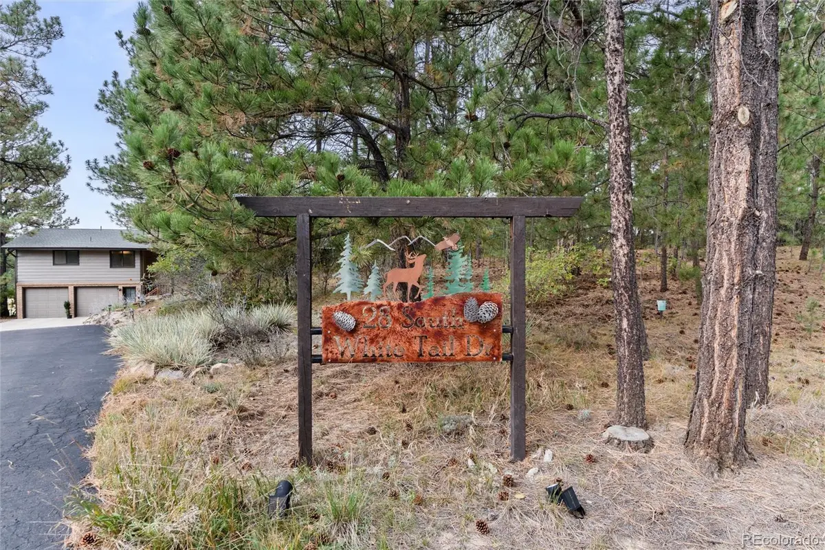 28 S White Tail, Franktown, CO 80116 - #1