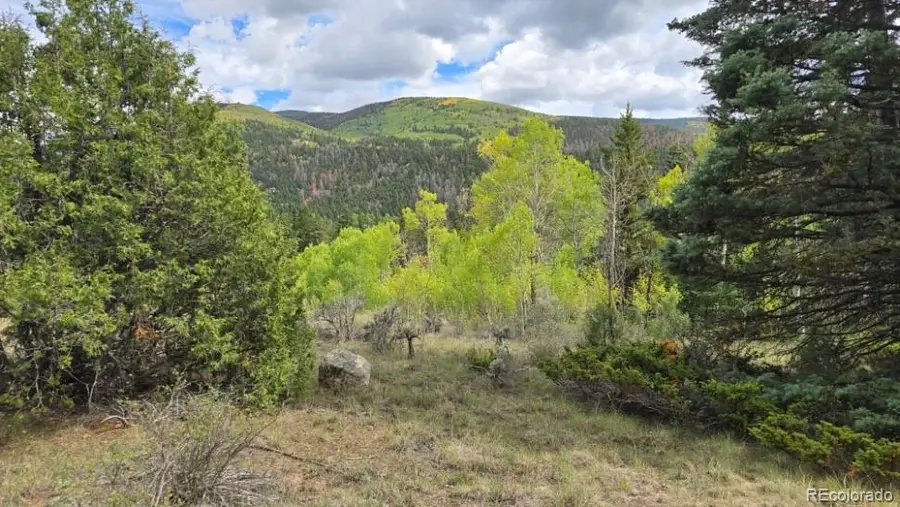 Lots 6301 & 6302 Nicholson, San Luis, CO 81152 - #3