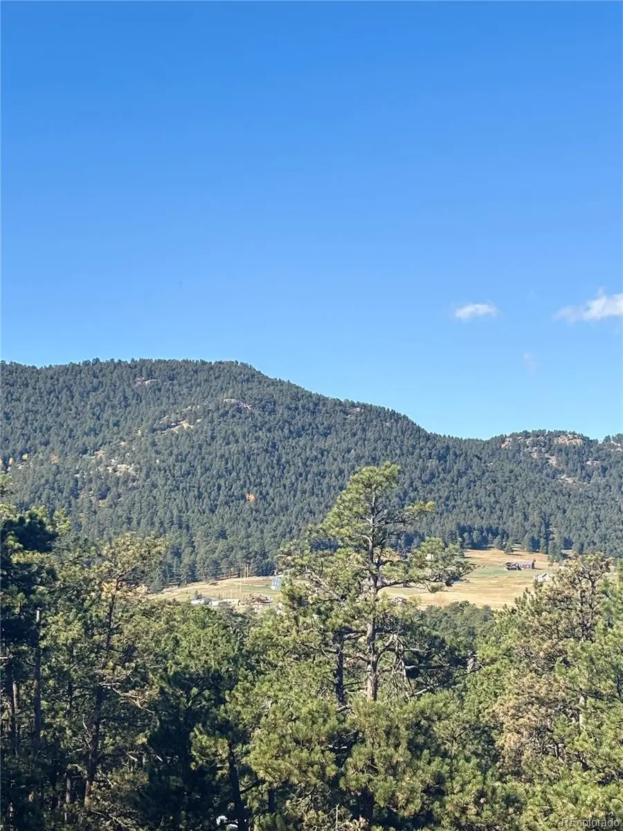 4374 Picutis Road, Indian Hills, CO 80454 - Image #3