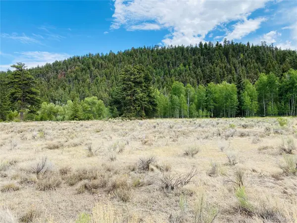 7 Massey Creek Road, Antonito, CO 81120