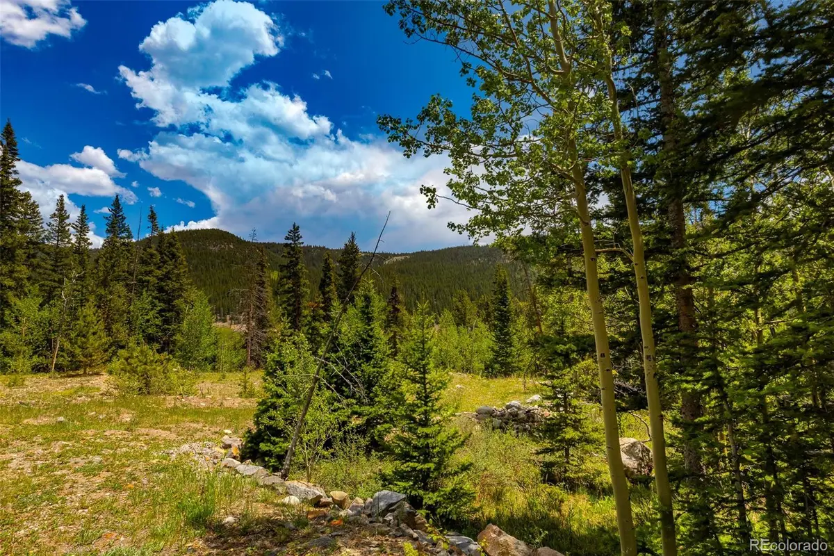 522 Quartzville Road, Alma, CO 80420 - #1