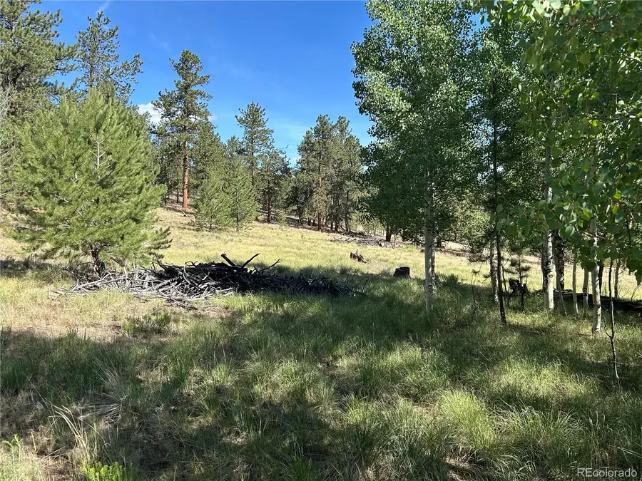 519 Hayhook Way, Hartsel, CO 80449 - #3