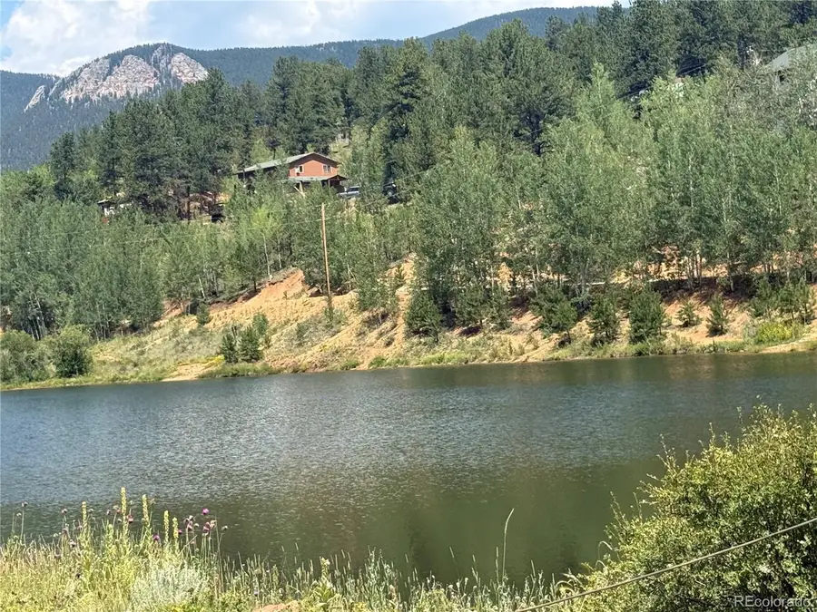 63 Fitzsimmons Road, Bailey, CO 80421 - #2
